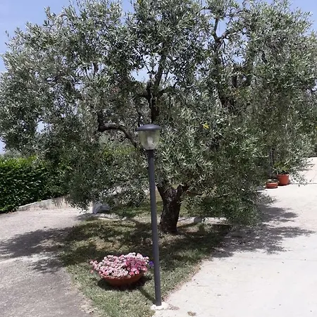 Casa Letizia Nyaraló *